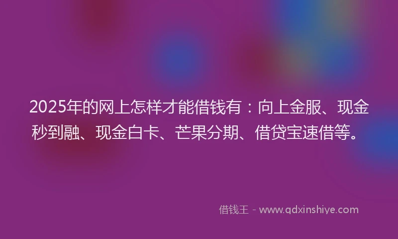 2025年的网上怎样才能借钱有：向上金服、现金秒到融、现金白卡、芒果分期、借贷宝速借等。