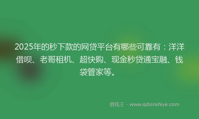 2025年的秒下款的网贷平台有哪些可靠有：洋洋借呗、老哥租机、超快购、现金秒贷通宝融、钱袋管家等。
