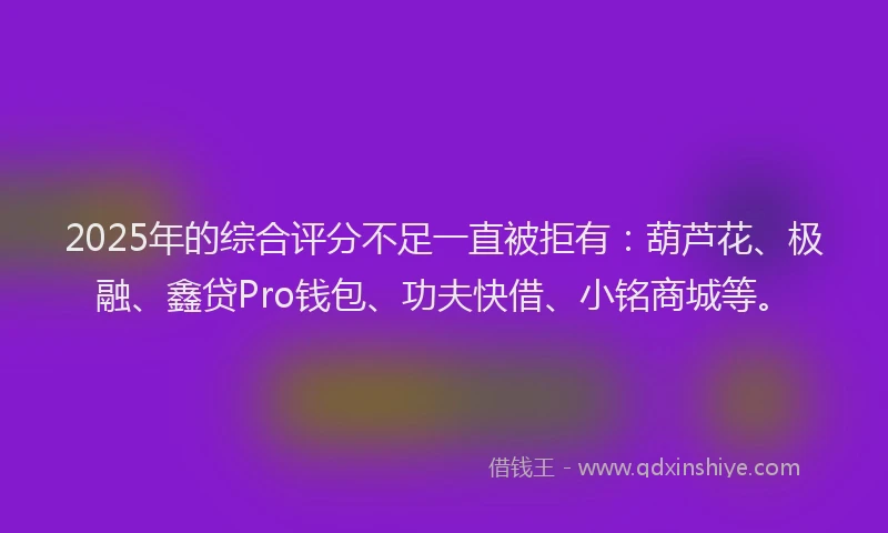 2025年的综合评分不足一直被拒有：葫芦花、极融、鑫贷Pro钱包、功夫快借、小铭商城等。