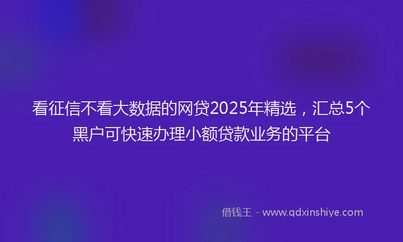 看征信不看大数据的网贷2025年精选，汇总5个黑户可快速办理小额贷款业务的平台