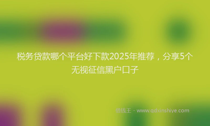 税务贷款哪个平台好下款2025年推荐，分享5个无视征信黑户口子