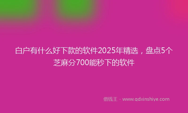 白户有什么好下款的软件2025年精选，盘点5个芝麻分700能秒下的软件