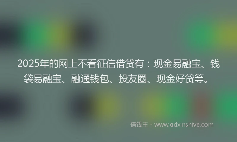 2025年的网上不看征信借贷有：现金易融宝、钱袋易融宝、融通钱包、投友圈、现金好贷等。