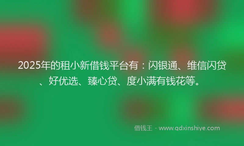 2025年的租小新借钱平台有：闪银通、维信闪贷、好优选、臻心贷、度小满有钱花等。