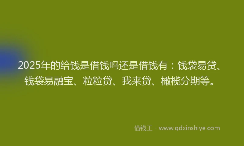 2025年的给钱是借钱吗还是借钱有：钱袋易贷、钱袋易融宝、粒粒贷、我来贷、橄榄分期等。