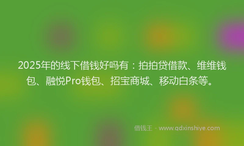 2025年的线下借钱好吗有：拍拍贷借款、维维钱包、融悦Pro钱包、招宝商城、移动白条等。