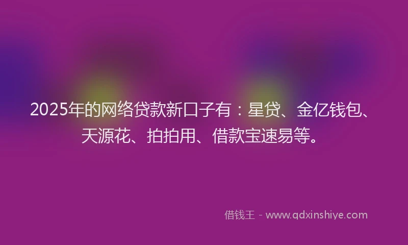 2025年的网络贷款新口子有：星贷、金亿钱包、天源花、拍拍用、借款宝速易等。