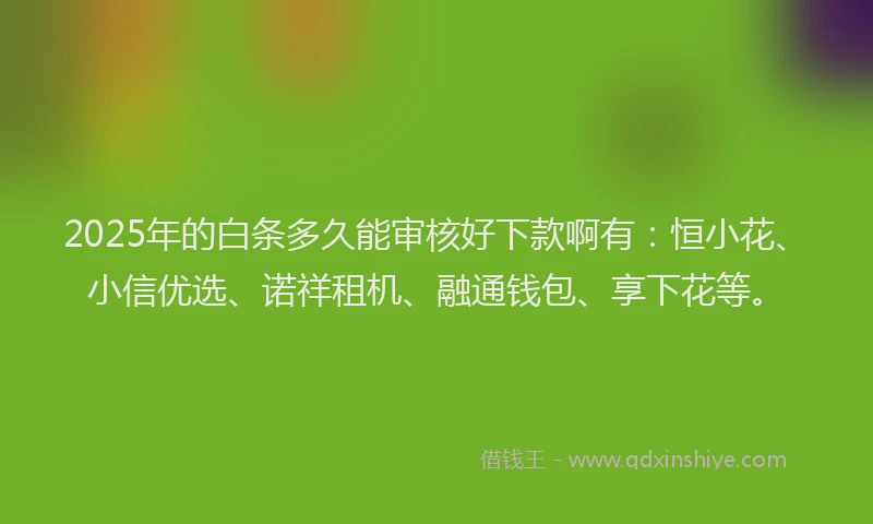 2025年的白条多久能审核好下款啊有：恒小花、小信优选、诺祥租机、融通钱包、享下花等。