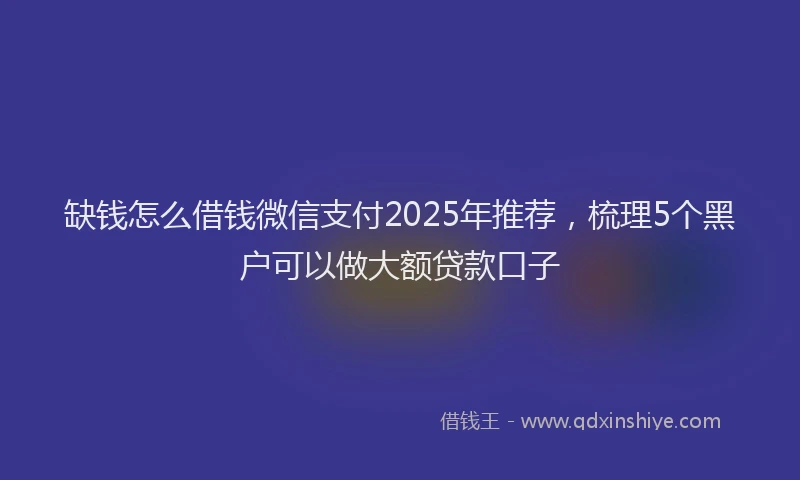 缺钱怎么借钱微信支付2025年推荐，梳理5个黑户可以做大额贷款口子
