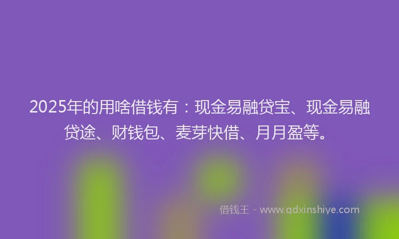 2025年的用啥借钱有：现金易融贷宝、现金易融贷途、财钱包、麦芽快借、月月盈等。