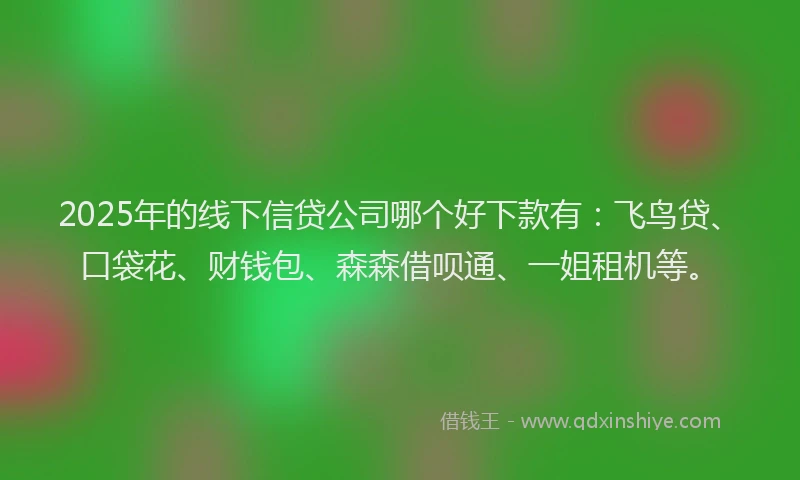 2025年的线下信贷公司哪个好下款有：飞鸟贷、口袋花、财钱包、森森借呗通、一姐租机等。