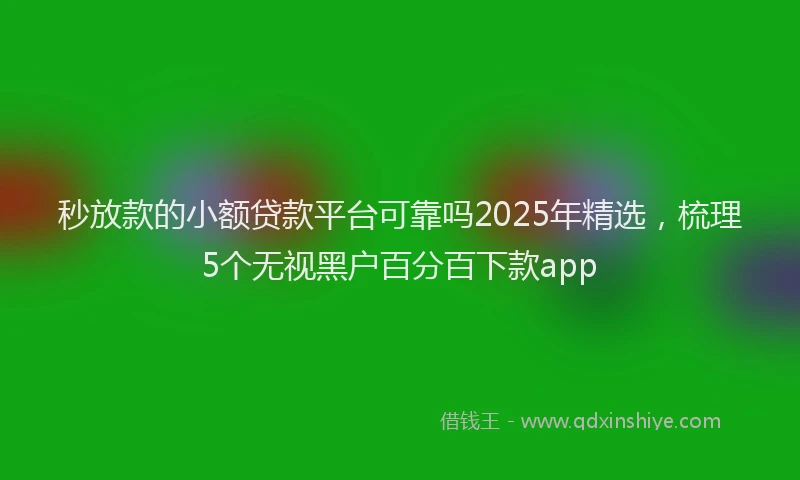秒放款的小额贷款平台可靠吗2025年精选，梳理5个无视黑户百分百下款app
