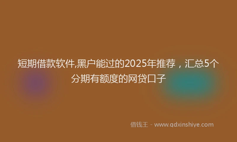 短期借款软件,黑户能过的2025年推荐，汇总5个分期有额度的网贷口子