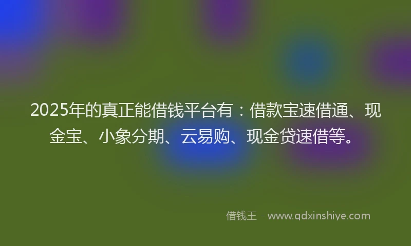 2025年的真正能借钱平台有：借款宝速借通、现金宝、小象分期、云易购、现金贷速借等。
