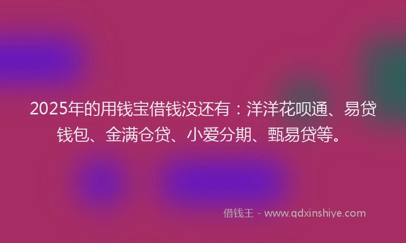 2025年的用钱宝借钱没还有：洋洋花呗通、易贷钱包、金满仓贷、小爱分期、甄易贷等。