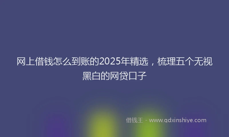网上借钱怎么到账的2025年精选，梳理五个无视黑白的网贷口子