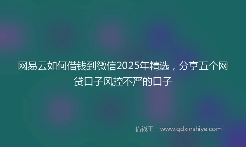 网易云如何借钱到微信2025年精选，分享五个网贷口子风控不严的口子