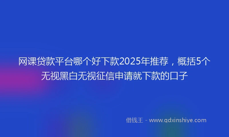 网课贷款平台哪个好下款2025年推荐，概括5个无视黑白无视征信申请就下款的口子