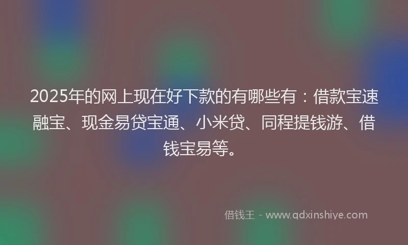 2025年的网上现在好下款的有哪些有：借款宝速融宝、现金易贷宝通、小米贷、同程提钱游、借钱宝易等。