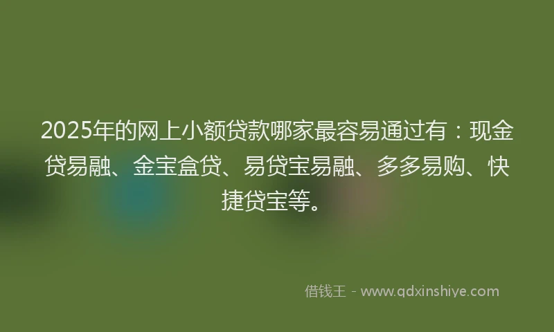 2025年的网上小额贷款哪家最容易通过有：现金贷易融、金宝盒贷、易贷宝易融、多多易购、快捷贷宝等。