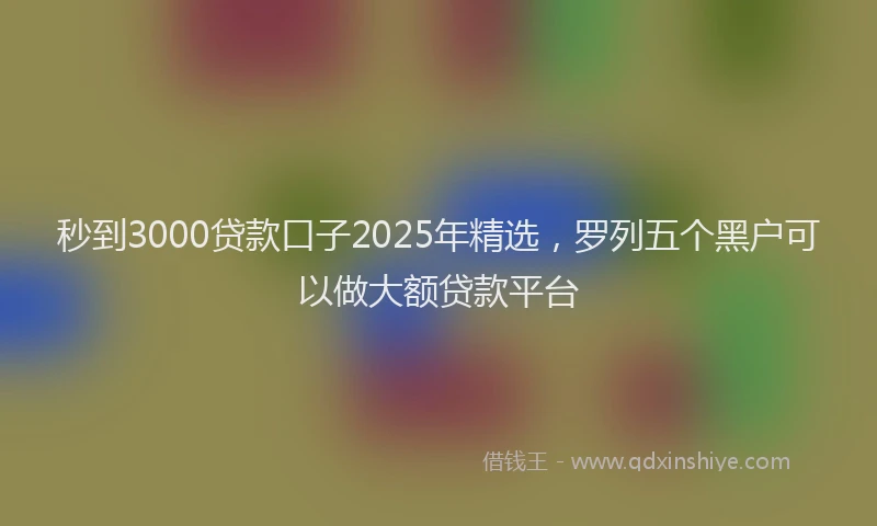秒到3000贷款口子2025年精选，罗列五个黑户可以做大额贷款平台