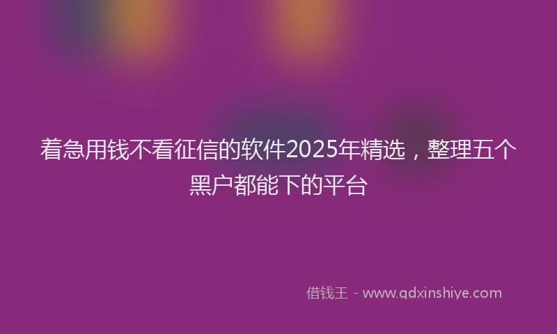 着急用钱不看征信的软件2025年精选，整理五个黑户都能下的平台