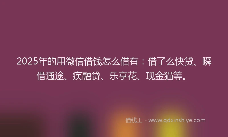 2025年的用微信借钱怎么借有：借了么快贷、瞬借通途、疾融贷、乐享花、现金猫等。