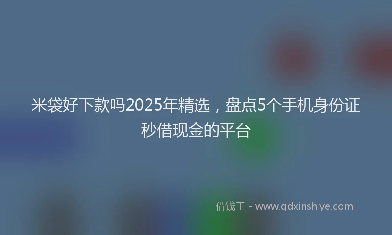 米袋好下款吗2025年精选，盘点5个手机身份证秒借现金的平台