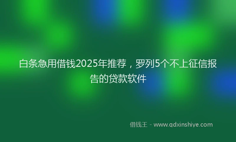 白条急用借钱2025年推荐，罗列5个不上征信报告的贷款软件
