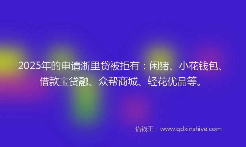 2025年的申请浙里贷被拒有：闲猪、小花钱包、借款宝贷融、众帮商城、轻花优品等。