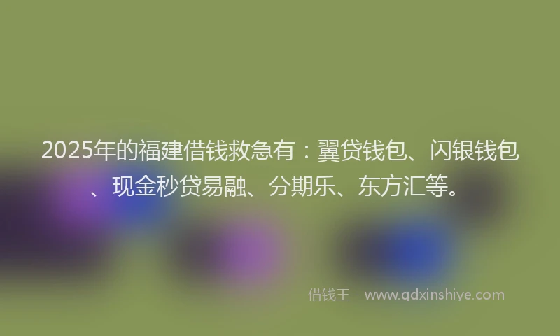 2025年的福建借钱救急有：翼贷钱包、闪银钱包、现金秒贷易融、分期乐、东方汇等。