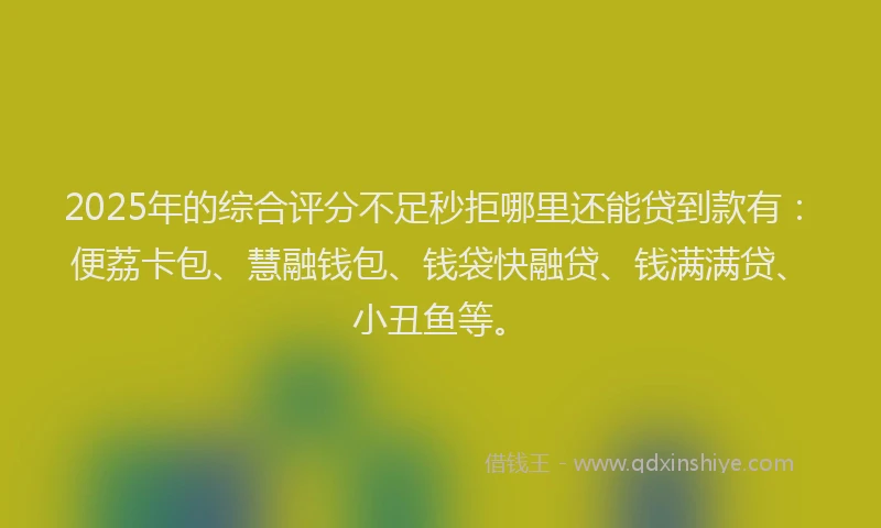 2025年的综合评分不足秒拒哪里还能贷到款有：便荔卡包、慧融钱包、钱袋快融贷、钱满满贷、小丑鱼等。