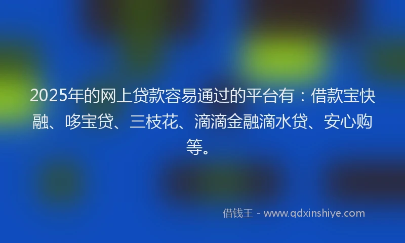 2025年的网上贷款容易通过的平台有：借款宝快融、哆宝贷、三枝花、滴滴金融滴水贷、安心购等。