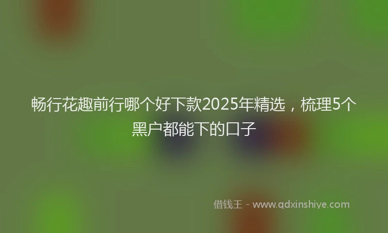 畅行花趣前行哪个好下款2025年精选，梳理5个黑户都能下的口子