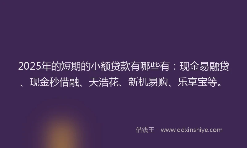 2025年的短期的小额贷款有哪些有：现金易融贷、现金秒借融、天浩花、新机易购、乐享宝等。