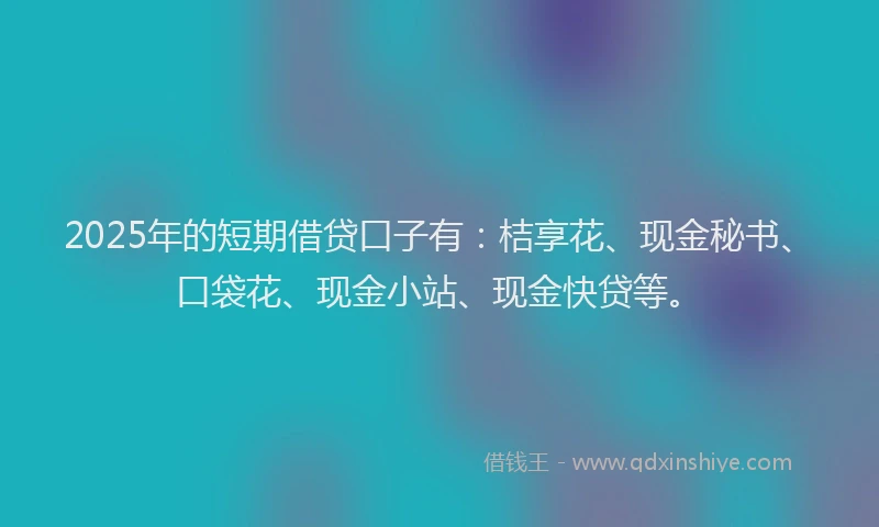 2025年的短期借贷口子有：桔享花、现金秘书、口袋花、现金小站、现金快贷等。