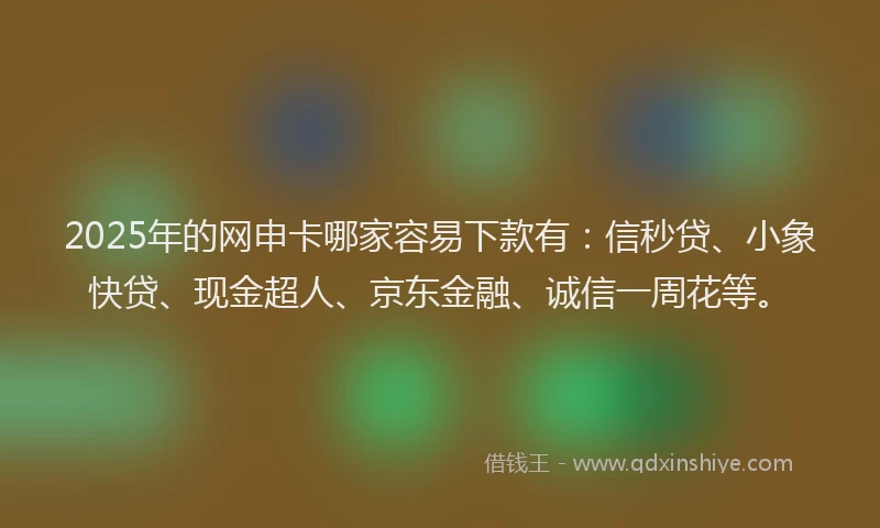 2025年的网申卡哪家容易下款有：信秒贷、小象快贷、现金超人、京东金融、诚信一周花等。