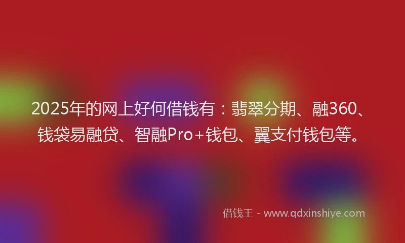 2025年的网上好何借钱有：翡翠分期、融360、钱袋易融贷、智融Pro+钱包、翼支付钱包等。