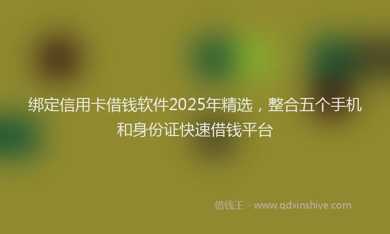 绑定信用卡借钱软件2025年精选，整合五个手机和身份证快速借钱平台