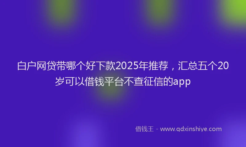 白户网贷带哪个好下款2025年推荐，汇总五个20岁可以借钱平台不查征信的app