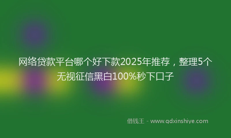 网络贷款平台哪个好下款2025年推荐，整理5个无视征信黑白100%秒下口子