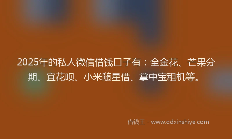 2025年的私人微信借钱口子有：全金花、芒果分期、宜花呗、小米随星借、掌中宝租机等。