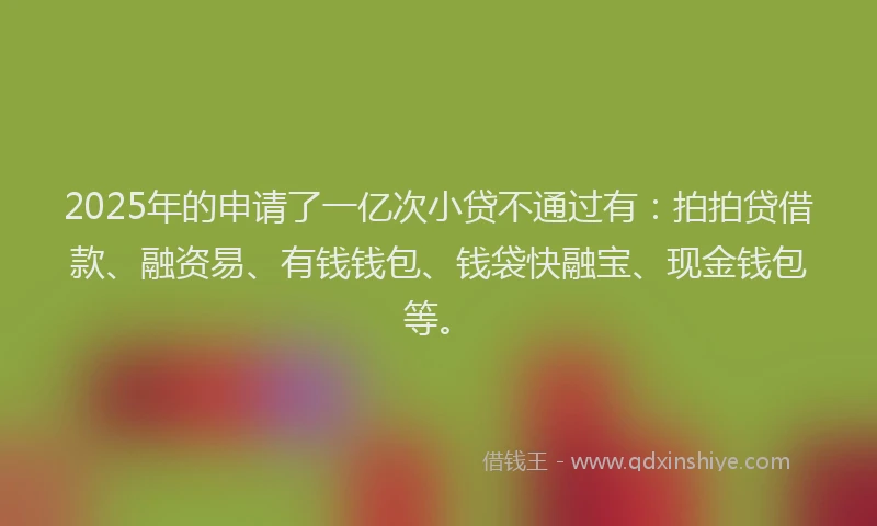 2025年的申请了一亿次小贷不通过有：拍拍贷借款、融资易、有钱钱包、钱袋快融宝、现金钱包等。