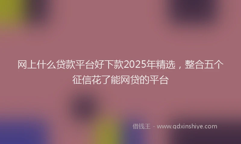 网上什么贷款平台好下款2025年精选，整合五个征信花了能网贷的平台