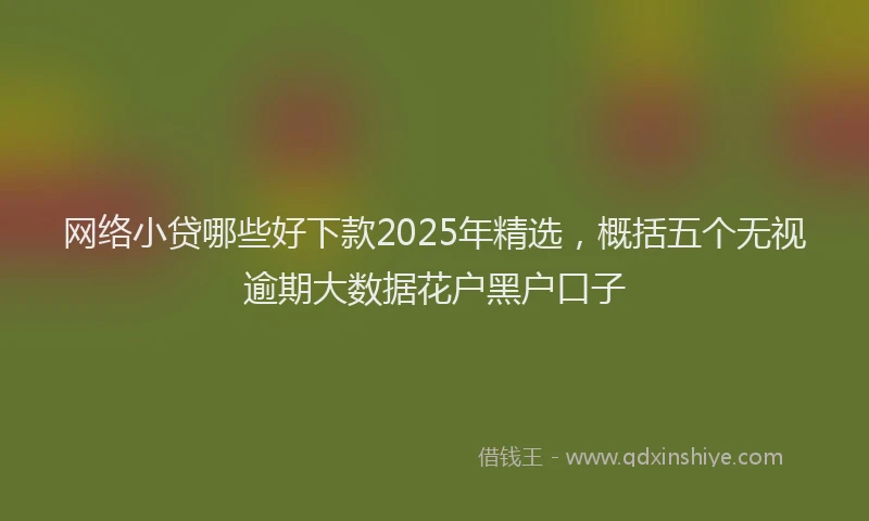 网络小贷哪些好下款2025年精选，概括五个无视逾期大数据花户黑户口子