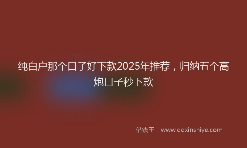 纯白户那个口子好下款2025年推荐，归纳五个高炮口子秒下款