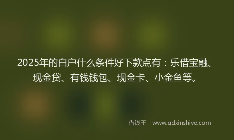 2025年的白户什么条件好下款点有：乐借宝融、现金贷、有钱钱包、现金卡、小金鱼等。