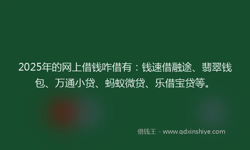 2025年的网上借钱咋借有：钱速借融途、翡翠钱包、万通小贷、蚂蚁微贷、乐借宝贷等。