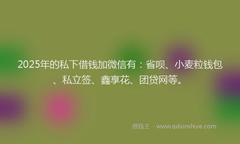 2025年的私下借钱加微信有：省呗、小麦粒钱包、私立签、鑫享花、团贷网等。