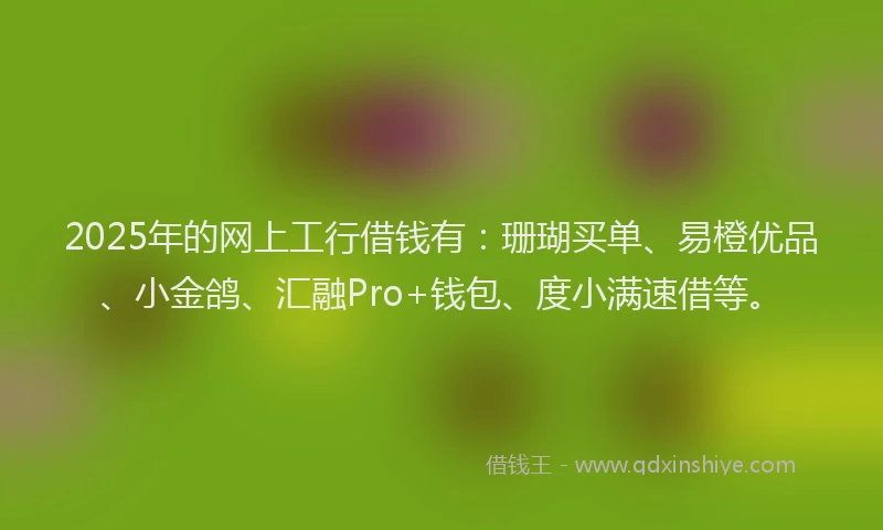 2025年的网上工行借钱有：珊瑚买单、易橙优品、小金鸽、汇融Pro+钱包、度小满速借等。